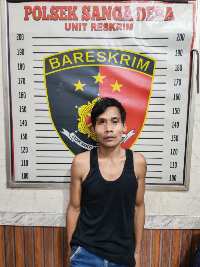 
 Polsek Sanga Desa, Unit Reskrim Polres Muba Berhasil Ringkus Pelaku Pencurian Dengan Kekerasan